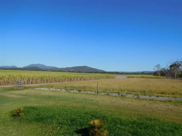 Second view of Homely rural property listing, 205 Dunwold-Cattle Creek Road, Mirani QLD 4754