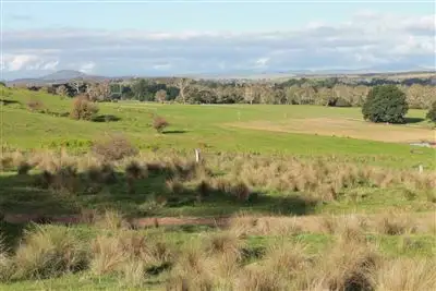 Third view of Homely rural property listing, 298 Mount Elrington Road, Braidwood NSW 2622
