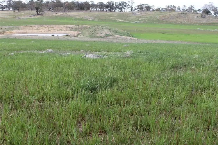 Fifth view of Homely rural property listing, 1037&1193 Eurodux Road, Braidwood NSW 2622