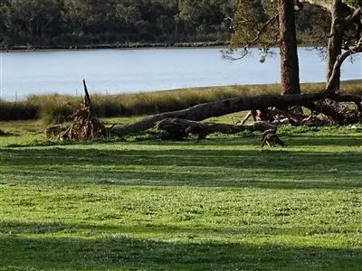 Seventh view of Homely house listing, 333 Junction Road, Manjimup WA 6258