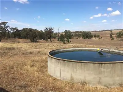 Seventh view of Homely rural property listing, 4861 Mendooran rd, Coonabarabran NSW 2357