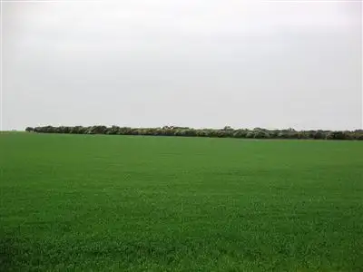 Second view of Homely rural property listing, Address available on request