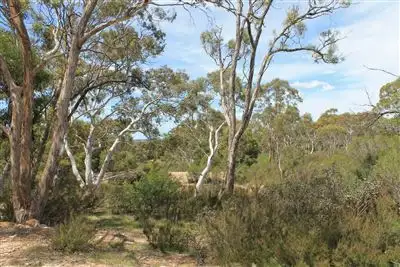 Fifth view of Homely rural property listing, 979 Bombay Road, Braidwood NSW 2622