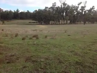 Seventh view of Homely rural property listing, Lot 3618 Muir Highway, Dingup WA 6258