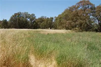 Third view of Homely rural property listing, Kelvin Grove, Burrandana Road, Wagga Wagga NSW 2650