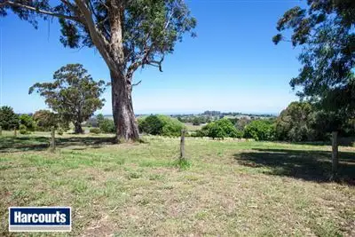 Seventh view of Homely house listing, 36 Hamono Road, Neerim VIC 3831