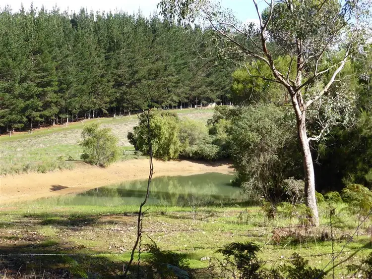 Fourth view of Homely rural property listing, 44 Charlie Road, Northcliffe WA 6262