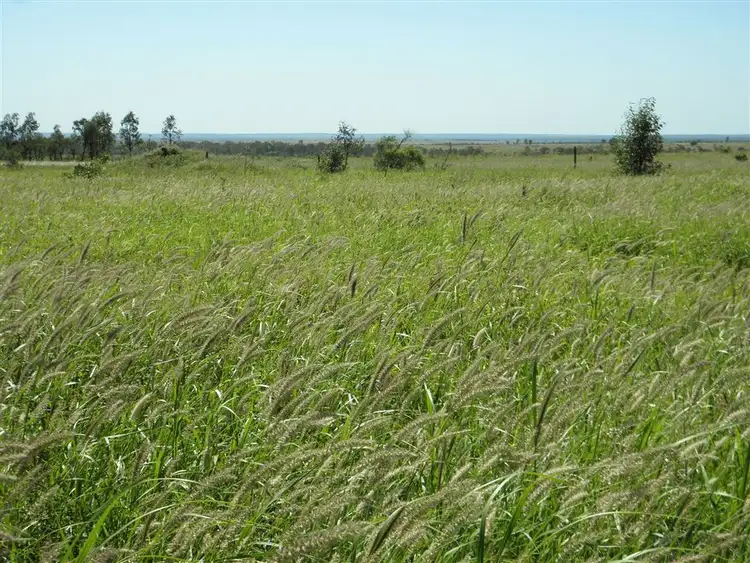 Second view of Homely rural property listing, " Spring Creek", Emerald QLD 4720