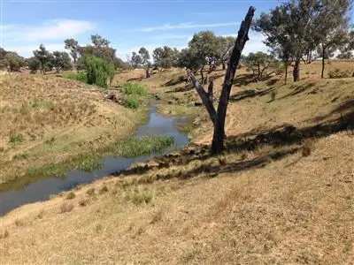 Seventh view of Homely rural property listing, 326 Blatches Lane, Yeoval NSW 2868