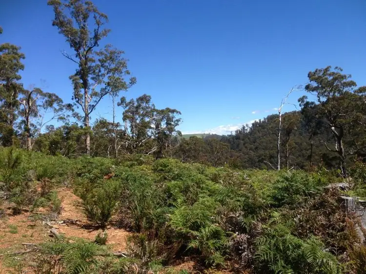 Third view of Homely land listing, Lot 4 Harveys Road, North Motton TAS 7315