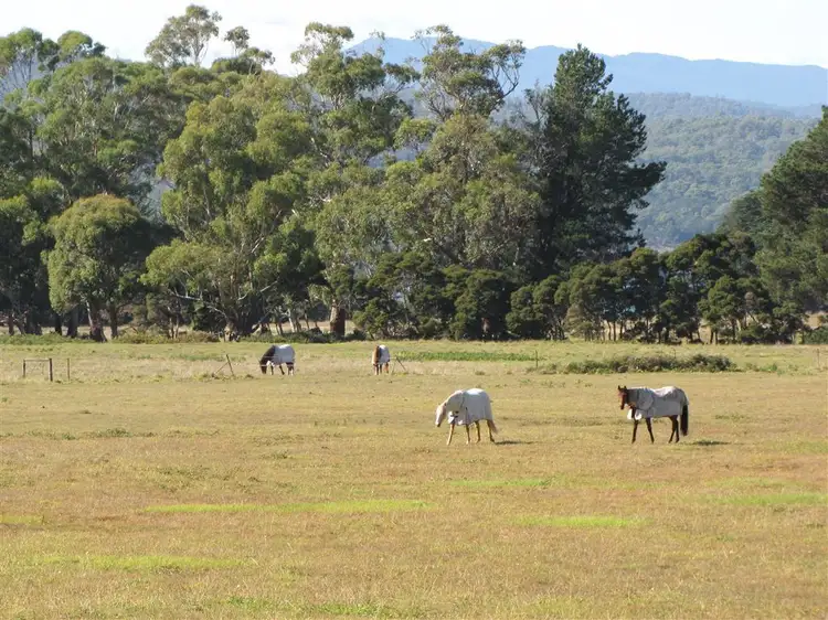 520 Gravelly Beach Road, Gravelly Beach TAS 7276