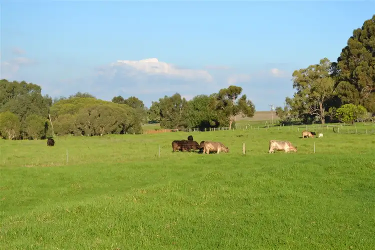 Sixth view of Homely rural property listing, 1412 Gingin Brook Road Muckenburra, Gingin WA 6503