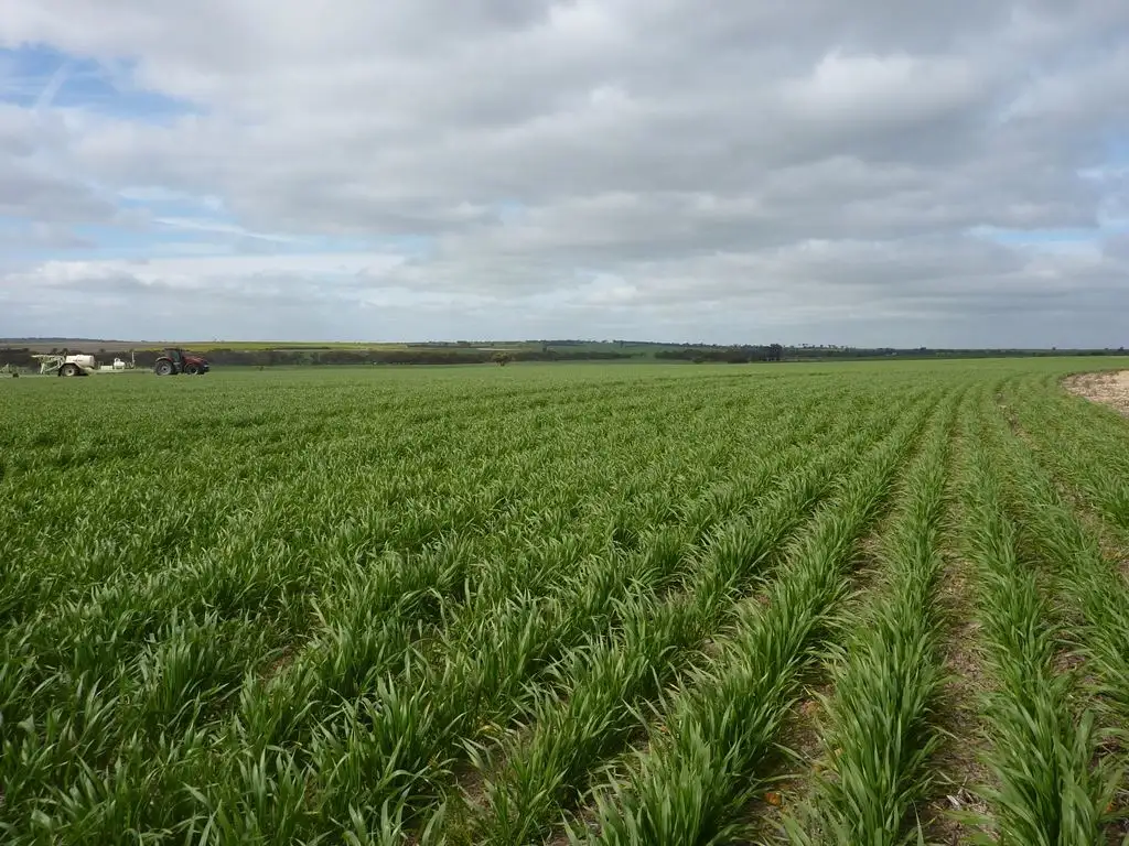 Main view of Homely rural property listing, Address available on request