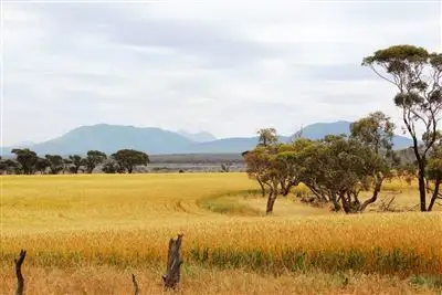 231 Arnold Road, Takalarup WA 6324