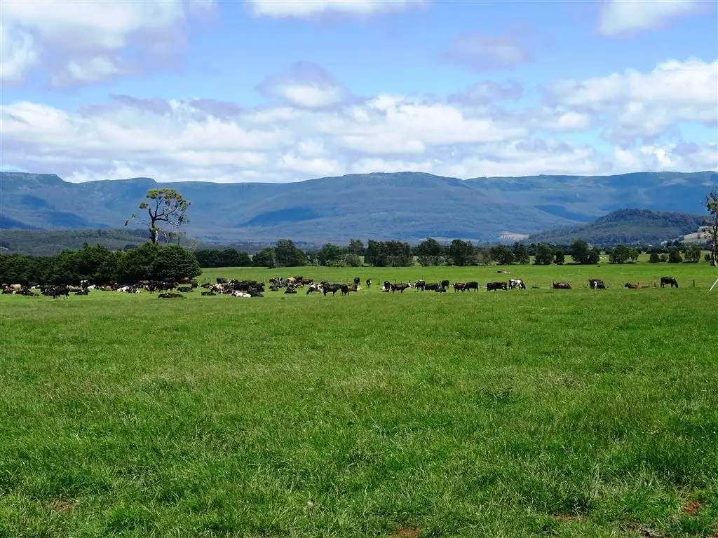 Main view of Homely rural property listing, 728 Montana Road, Montana TAS 7304
