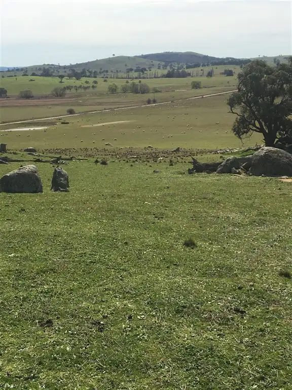 Third view of Homely rural property listing, Lot 85 Berrabangalo Creek Road, Gunning NSW 2581