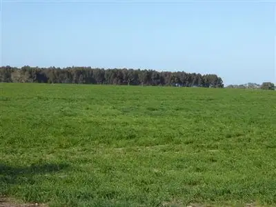 Sixth view of Homely rural property listing, 389 Nichols Road, Keith SA 5267