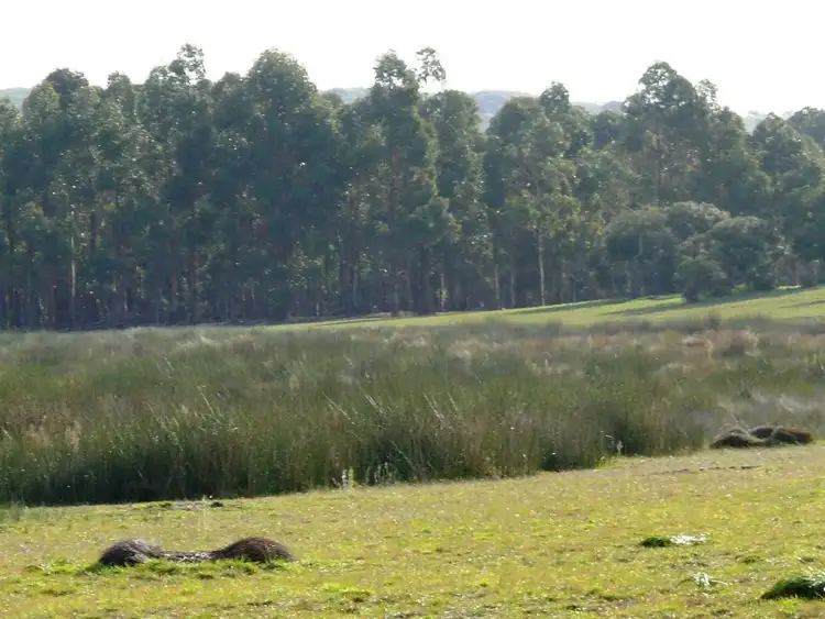 Lot 20 Orleans Road, Esperance WA 6450