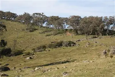 Seventh view of Homely rural property listing, 'Reids'/L43 - 46 Bonds Road Hargraves, Mudgee NSW 2850