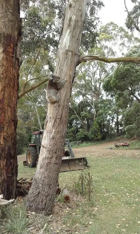 Second view of Homely rural property listing, Address available on request