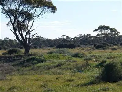 Fourth view of Homely rural property listing, Lot 737 Linkes Woolshed Road, Steinfeld via, Truro SA 5356
