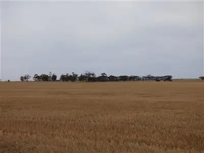 Seventh view of Homely rural property listing, 431 Baker - Hiscocks Road, Netherby, Nhill VIC 3418