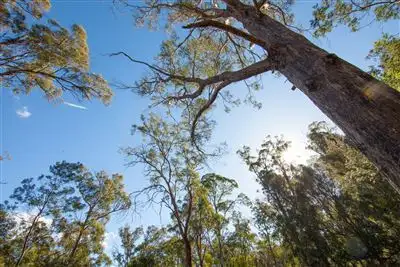 Third view of Homely land listing, 2043 Windermere Road, Swan Bay TAS 7252