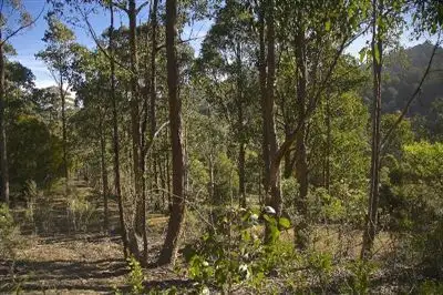 Main view of Homely land listing, - Judds Creek Road, Judbury TAS 7109