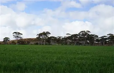 Sixth view of Homely house listing, 22 Macdonald St, Merredin WA 6415