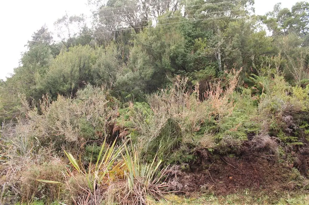 Main view of Homely land listing, 13 Jenico Street, Queenstown TAS 7467