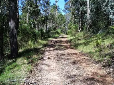 Main view of Homely house listing, 92 Hunter Lane, Buchan VIC 3885