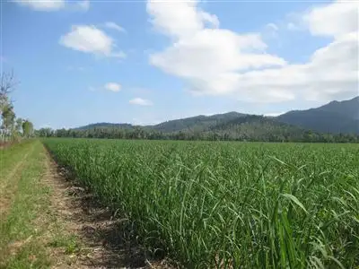 Second view of Homely rural property listing, 0 Bilyana Road, Bilyana QLD 4854