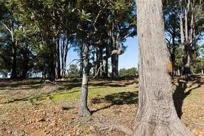 Third view of Homely rural property listing, Lot 51 Banbar View, Waroona WA 6215