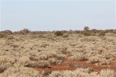 Sixth view of Homely rural property listing, " Ingomar Station", Coober Pedy SA 5723