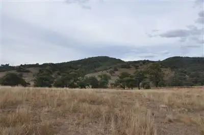 Fifth view of Homely land listing, . Widden Close, Scone NSW 2337