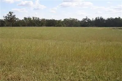 Fourth view of Homely rural property listing, 2554 East Coonamble Rd, Curban NSW 2827