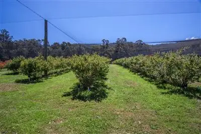 Main view of Homely house listing, 190 Cygnet Coast Road, Lymington TAS 7109