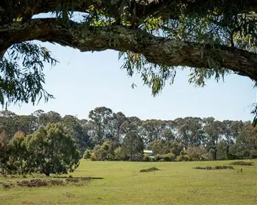 Second view of Homely rural property listing, 792 Tames Road, Strathbogie VIC 3666