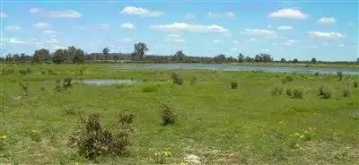 Fourth view of Homely rural property listing, 1200 Bundalba Road, Biloela QLD 4715
