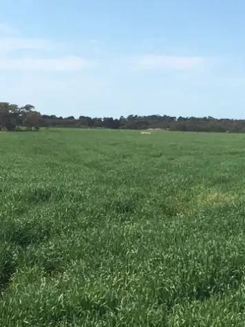 Third view of Homely rural property listing, Lot 132 Kepa Road, Murray Bridge SA 5253