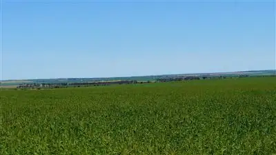 Second view of Homely rural property listing, Address available on request