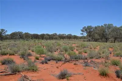 Main view of Homely rural property listing, * The Range, White Cliffs NSW 2836