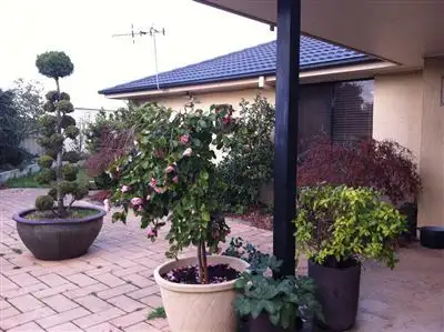 Fourth view of Homely house listing, 24 Crestwood Drive, Goulburn NSW 2580