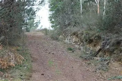 Seventh view of Homely rural property listing, Lots15etal Corang River Road, Nerriga NSW 2622