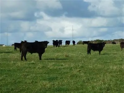 Second view of Homely rural property listing, 120 Don Kendall Drive, Loorana TAS 7256