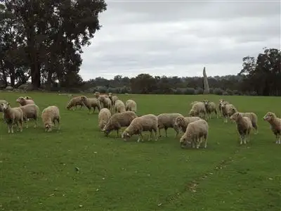 Seventh view of Homely land listing, 100 RIDGE VIEW AVE, Boyup Brook WA 6244