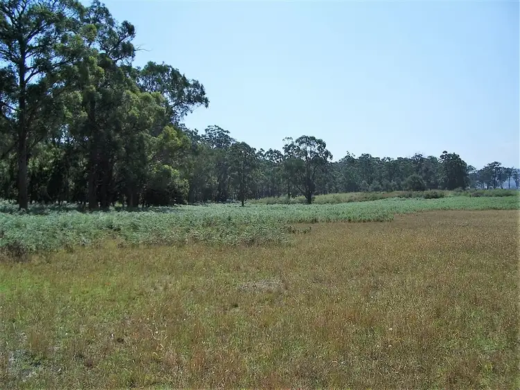 Sixth view of Homely rural property listing, 665 Nicholson Sarsfield Road, Bairnsdale VIC 3875