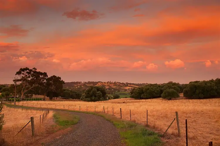 Second view of Homely rural property listing, 193 valley road, Angaston SA 5353