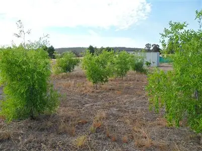 Second view of Homely land listing, 386 Days Road, Boddington WA 6390