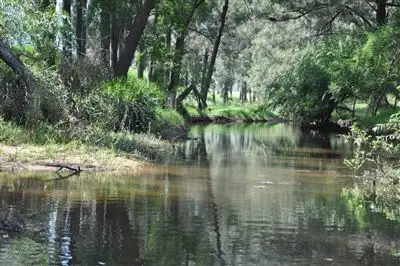 Main view of Homely rural property listing, 1971 Martindale Rd, "Kooinda", Denman NSW 2328